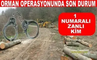 Orman Operasyonunda Son Durum