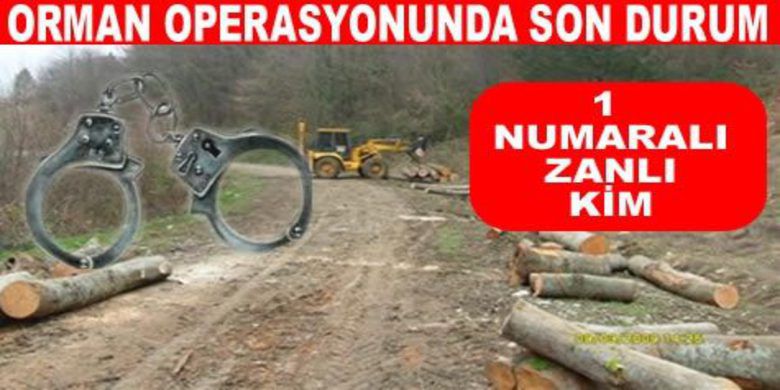Orman Operasyonunda Son Durum - Samsun Emniyeti Mali suçlarla mücadele müdürlüğünün Alaçam, Yakakent, 19 Mayıs ve Bafra`da düzenlediği Orman operasyonu sorgusu devam ediyor.