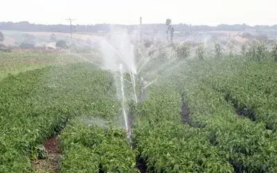 Bafra Ovası'nda Tuz Tehdidi Türkiye'nin En Büyük Ovalarından Olan Bafra Ovası'nda Topraktaki Aşırı Tuzlanma Üretimi Sekteye Uğratıyor