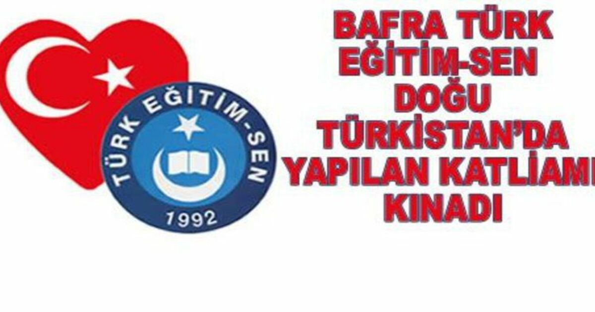 Bafra Türk Eğitim-sen Basın Açıklaması