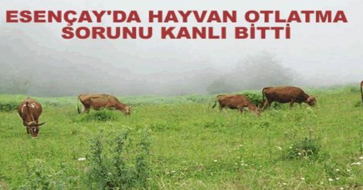 Silahla Vurularak Yaralandı