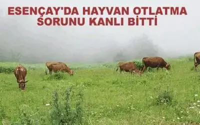 Silahla Vurularak Yaralandı