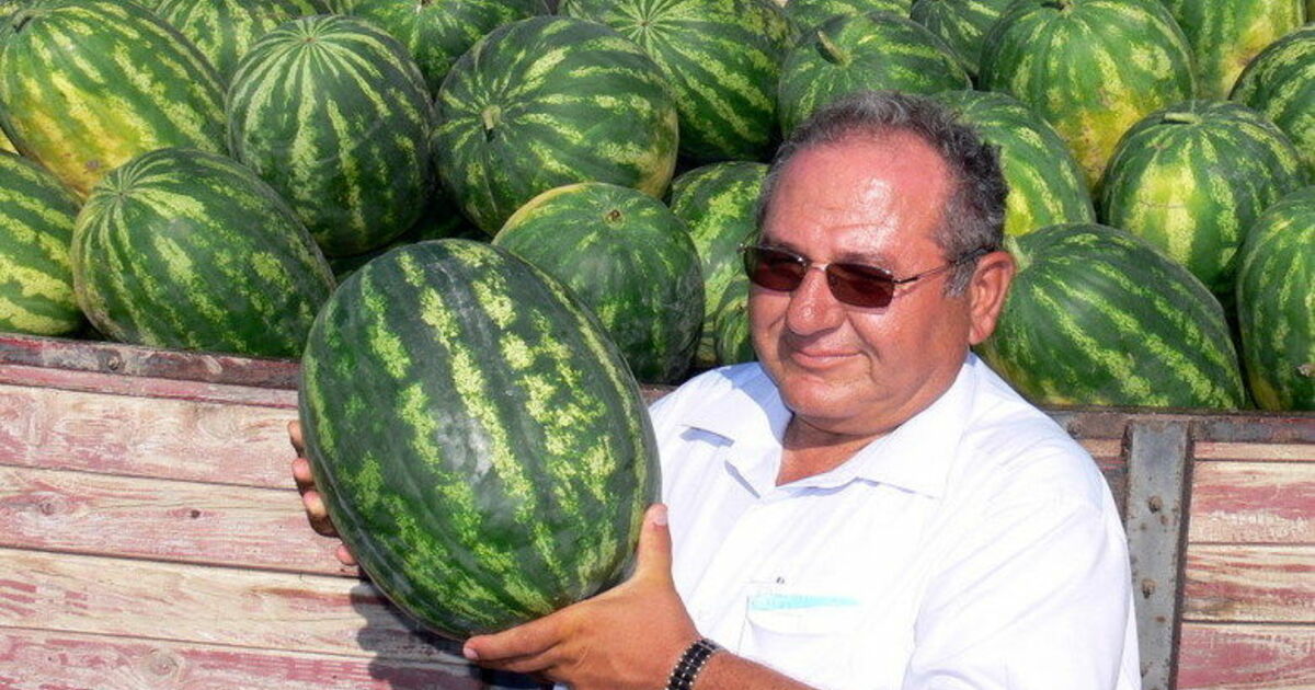 Sağlıklı Gelecek Organik Yaşamda "Yeşil Küre" Organik Üretim Tesisi, Türkiye'nin En Büyük Organik Ürün Üreticisi Konumuna Geldi