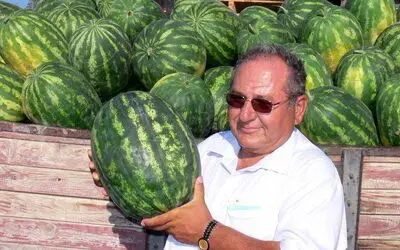 Sağlıklı Gelecek Organik Yaşamda "Yeşil Küre" Organik Üretim Tesisi, Türkiye'nin En Büyük Organik Ürün Üreticisi Konumuna Geldi