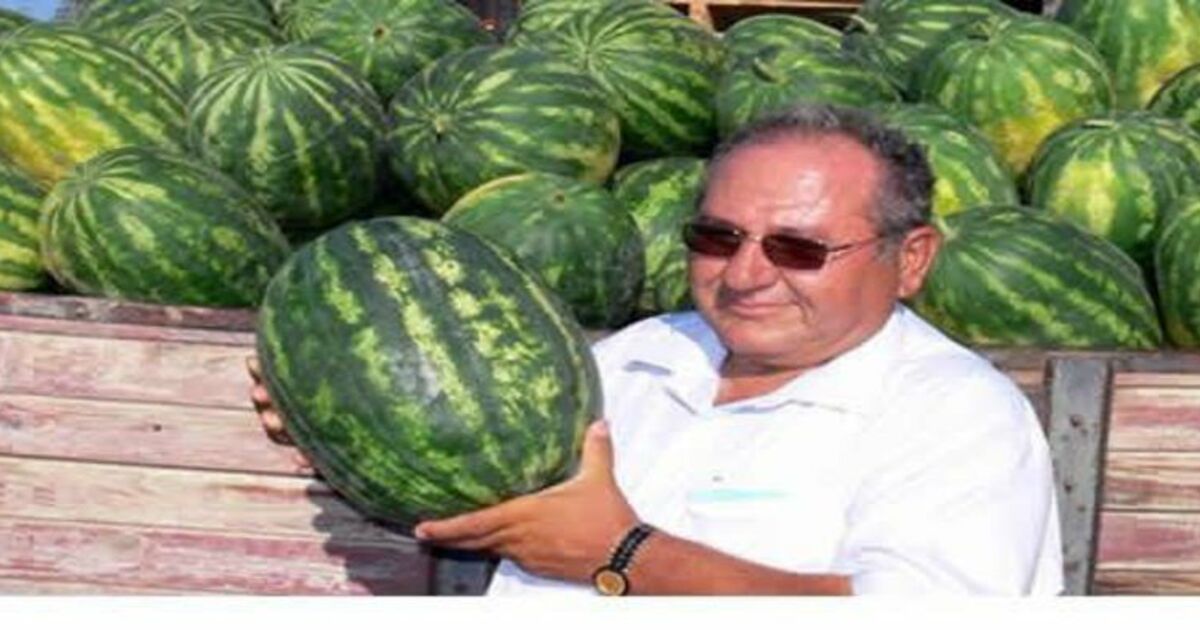 Sağlıklı Gelecek Organik Yaşamda