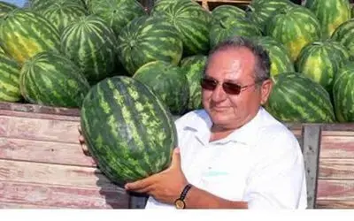 Sağlıklı Gelecek Organik Yaşamda