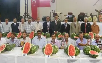 Bafra'da Kavun Ve Karpuzlar Yarıştı Bafra Belediyesi Tarafından Genelsel 13. Kavun-karpuz Yarışması Düzenlendi