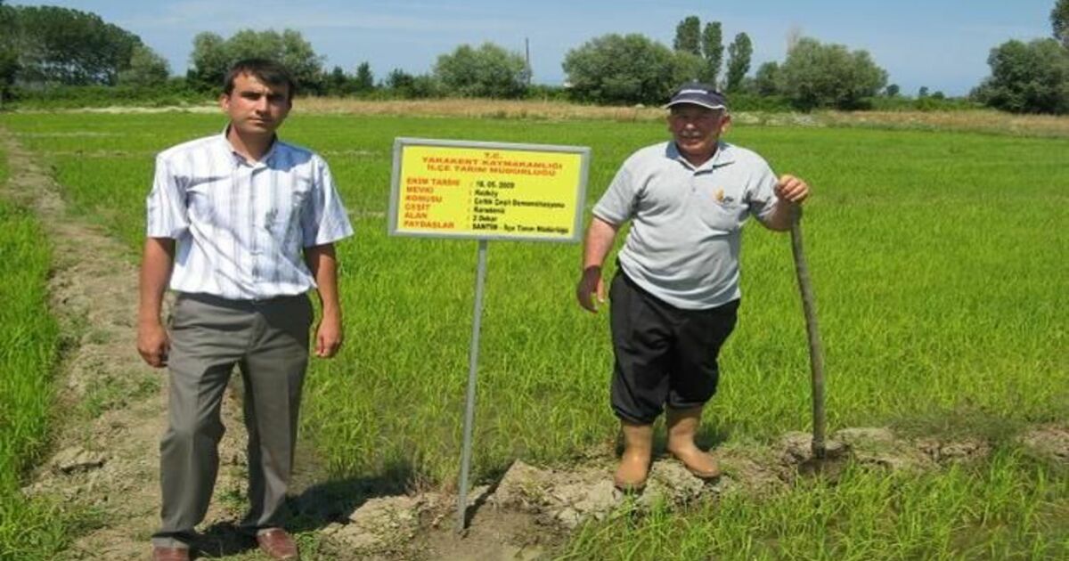 Sertifikalı Ürünlerde Üretim Tahminleri