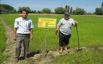 Sertifikalı Ürünlerde Üretim Tahminleri