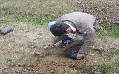 Ağaç Kesen Şahıslara Ağaç Dikme Cezası