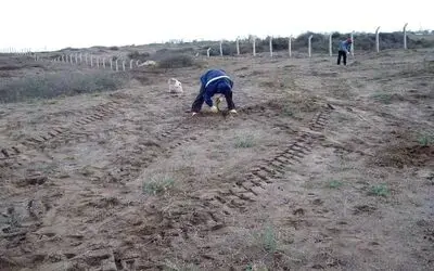 Erozyonla Mücadele Çalışmaları