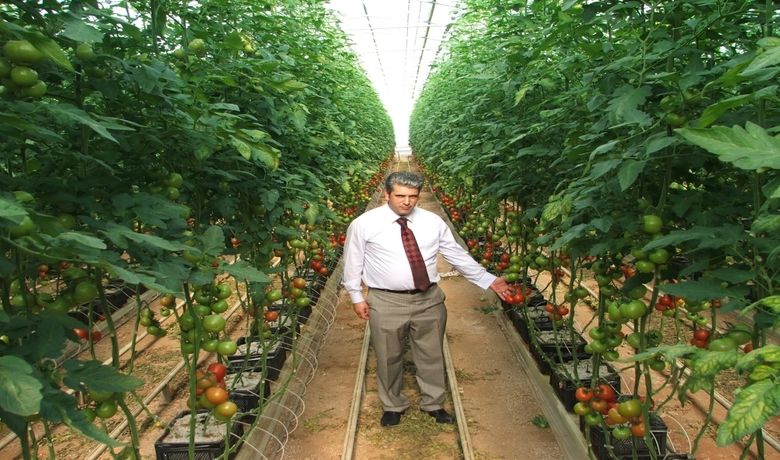 Bafralı Çiftçiler Growtech Eurasia Fuarı'nı Gezdi - Samsun'un Bafra İlçesinde tarım sektöründe uğraşan üreticiler Antalya Growtech Eurasia Uluslararası Sera, Tarım Ekipmanları, Çiçekçilik ve Teknolojileri Fuarı'nı gezdi.