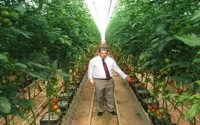Bafralı Çiftçiler Growtech Eurasia Fuarı'nı Gezdi