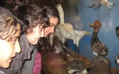Ödüllü Yarışmacılar Kuş Cennetini Gezdi