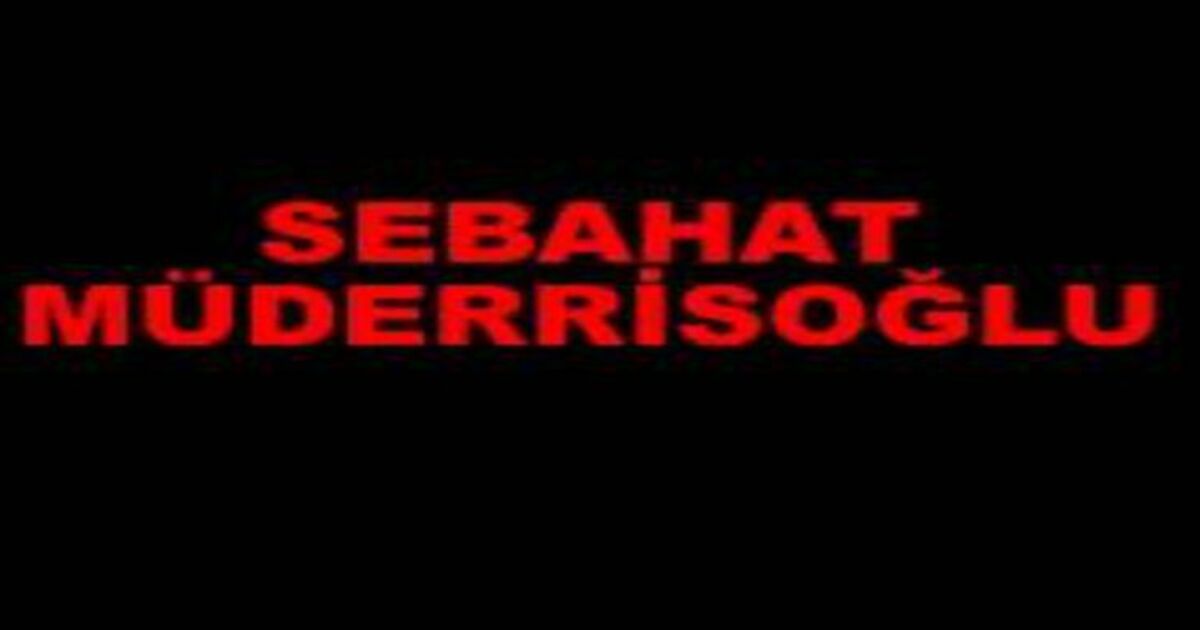 Sebahat Müderrisoğlu