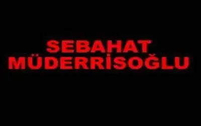 Sebahat Müderrisoğlu