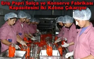 Papri Kapasite Artırımı İçin Düğmeye Bastı