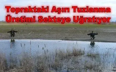 Topraklarımızdaki Tuzlanma Üretime Zarar Veriyor