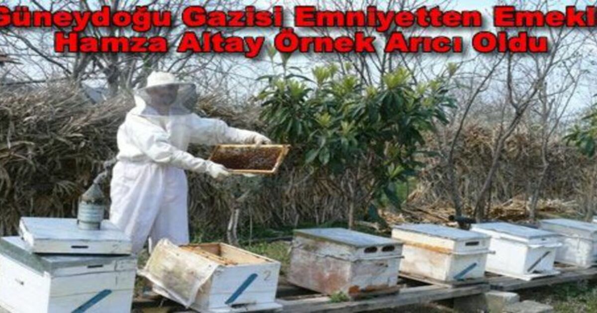 Güneydoğu Gazisi Örnek Arıcı Oldu