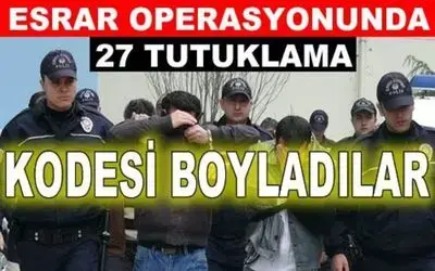 Büyük Esrar Operasyonunda 27 Kişi Tutuklandı