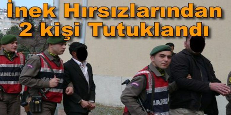 Bafra`da İnek Hırsızı 2Kişi Etleri Satarken Yakalandı - Bafra ilçesine bağlı Sarıköy`den çalınan 1 ineğin etini Çetinkaya Beldesi güzergâhında bulunan Samsun-Sinop Karayolu üzerinde sattığı belirtilen 2 kişi yakalandı.