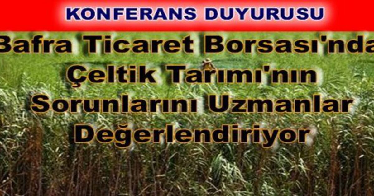Bafra Ticaret Borsası`ndan `çeltik Tarımı Ve Sorunları` Toplantısı