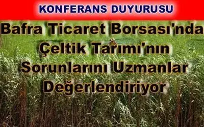 Bafra Ticaret Borsası`ndan `çeltik Tarımı Ve Sorunları` Toplantısı