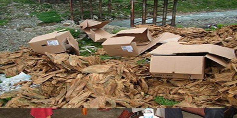 Alaçamda Bir Yıllık Emek Çöpe Gitti - Bayram Ekmekçi bir yıl boyunca emek ettiği bir traktör tütünü Karşıyaka mahallesinde bulunan köprünün yanına dökerek ben bir yıl boyunca emek edeceğim ve benim tütünümü iki liraya satmamı isteyecekler dedi.