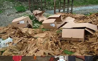 Alaçamda Bir Yıllık Emek Çöpe Gitti