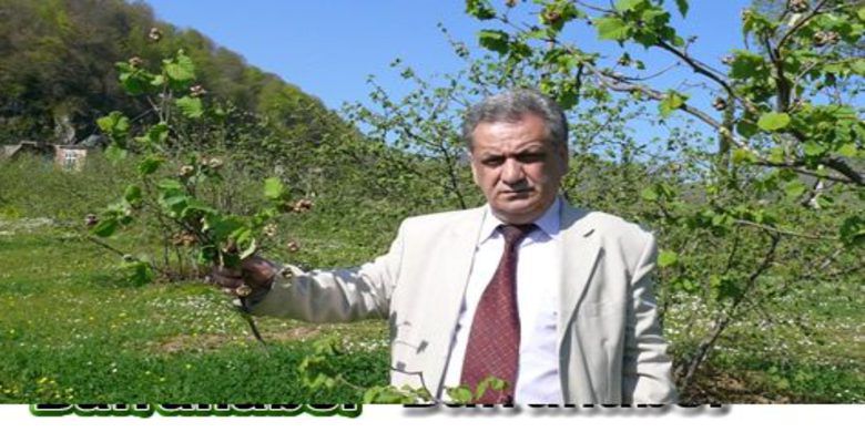19 Mayıs`ın Kösedik KöyündeFındık Kozalak Akarı Zararına Uyarı - Saka, Fındık kozalak akarı aşırı çoğaldığı için genelde yağlı palaz çeşitlerinde görülmesine rağmen çakıldak çeşidinde görülmesine dikkat çekti.