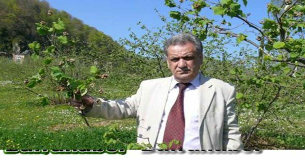 19 Mayıs`ın Kösedik Köyünde Fındık Kozalak Akarı Zararına Uyarı