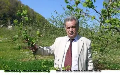 19 Mayıs`ın Kösedik Köyünde Fındık Kozalak Akarı Zararına Uyarı