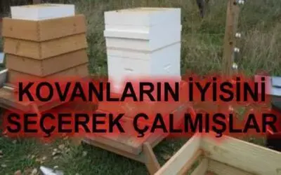 Bakırpınar Köyü`nde 12 Kovan Arı Çalındı
