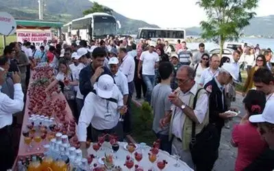 Bilim Adamları Bafra`ya Hayran Kaldı