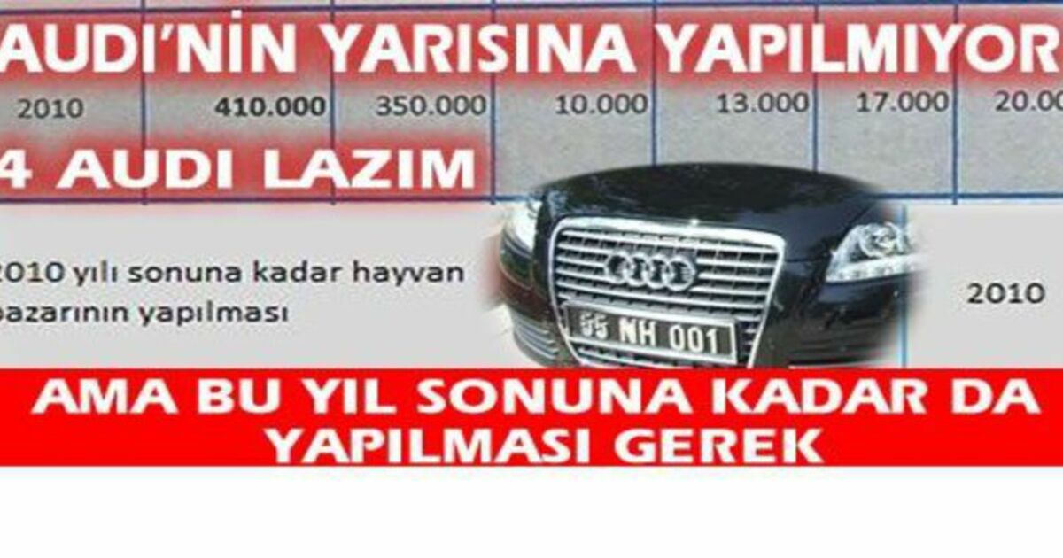 Audi İle Hayvan Pazarı Kurulmuyormuş Ama