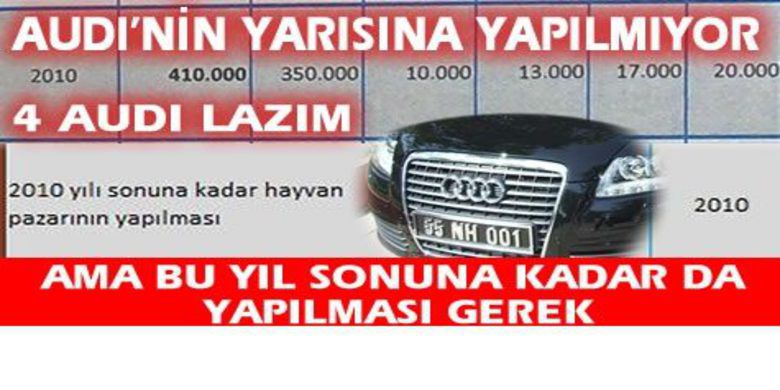 Audi İle Hayvan Pazarı Kurulmuyormuş Ama - Kırmızı Et Üreticileri Birliği Başkanı Erdal Doğan`ın açıklamaları gündeme bomba gibi düştü.