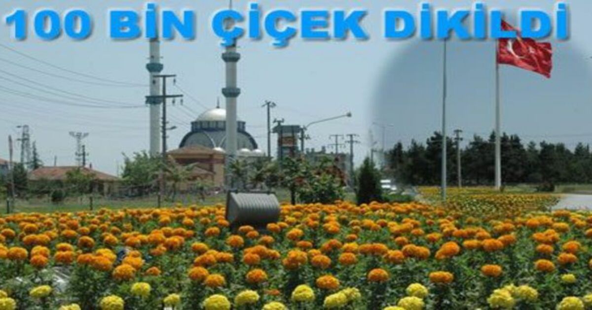 Bafra Çiçek Bahçesi