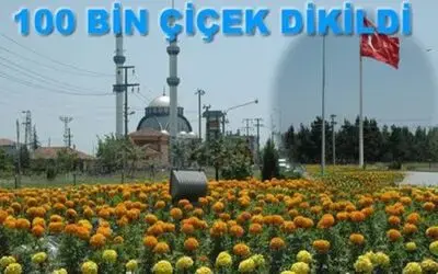 Bafra Çiçek Bahçesi