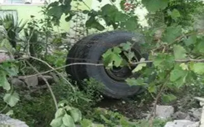 Kamyondan Fırlayan Teker Bahçeye Daldı