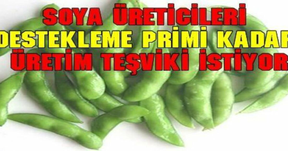 Soya Fasulyesi Üretimi Olumlu Sonuç Verdi
