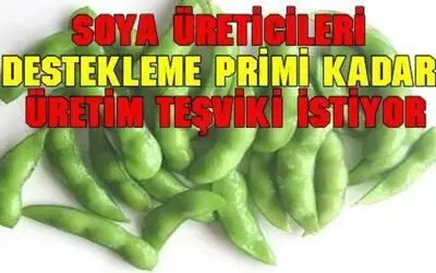 Soya Fasulyesi Üretimi Olumlu Sonuç Verdi
