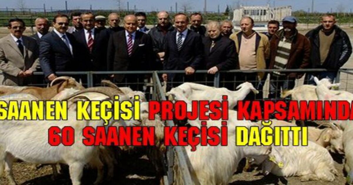 Bafra Kaymakamlığından Örnek Proje