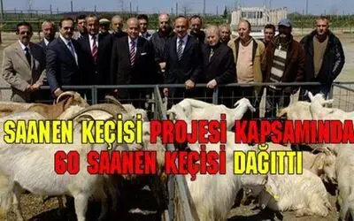 Bafra Kaymakamlığından Örnek Proje