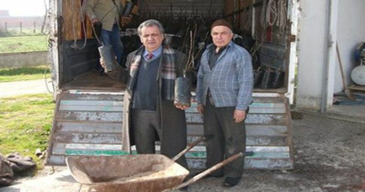 Bafra Ziraat Odası Ceviz Fidanı Dağıttı