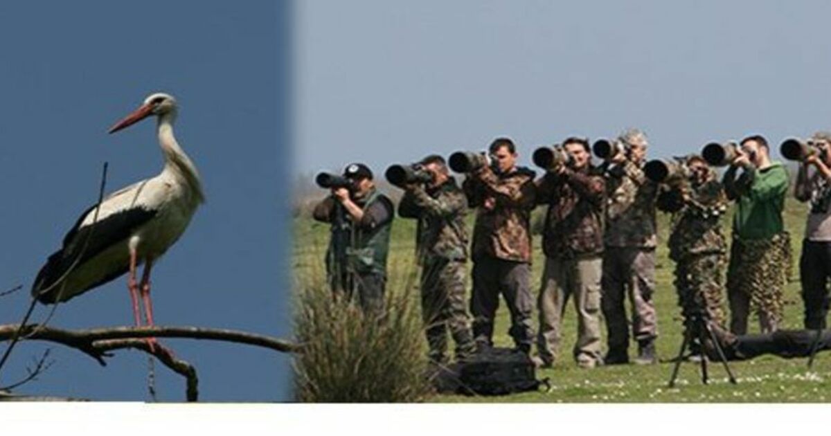 Kızılırmak Deltası Fotoğrafçıları Büyüledi