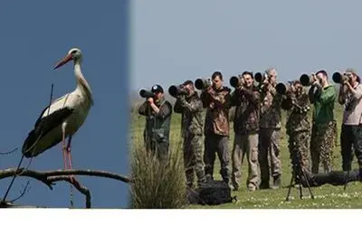 Kızılırmak Deltası Fotoğrafçıları Büyüledi
