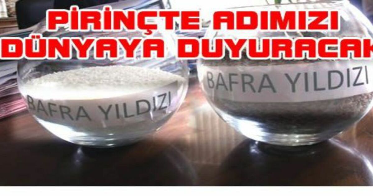 Pirinçteki Adımız Bafra Yıldızı