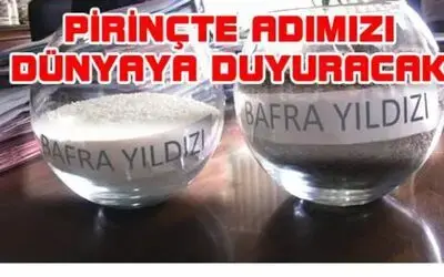 Pirinçteki Adımız Bafra Yıldızı