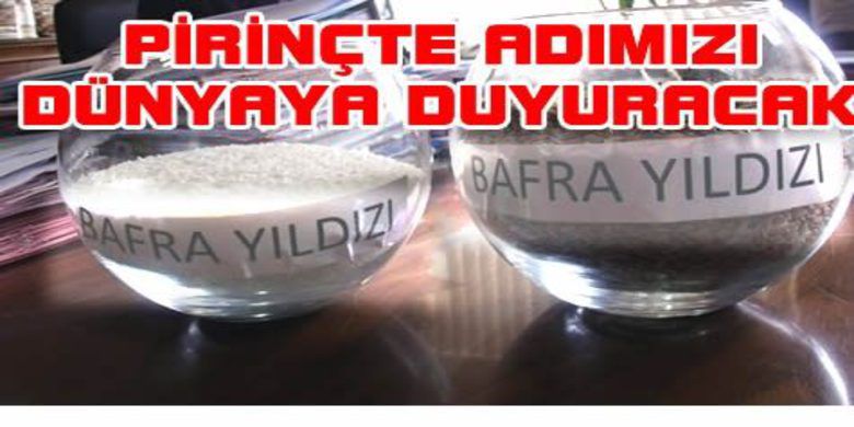 Pirinçteki Adımız Bafra Yıldızı - Samsun`un Bafra ilçesinde üretilen pirincin, İç ve dış piyasalarda Bafra olarak anılabilmesi için çeltiğin bir türüne `Bafra Yıldızı` ismi verildi.