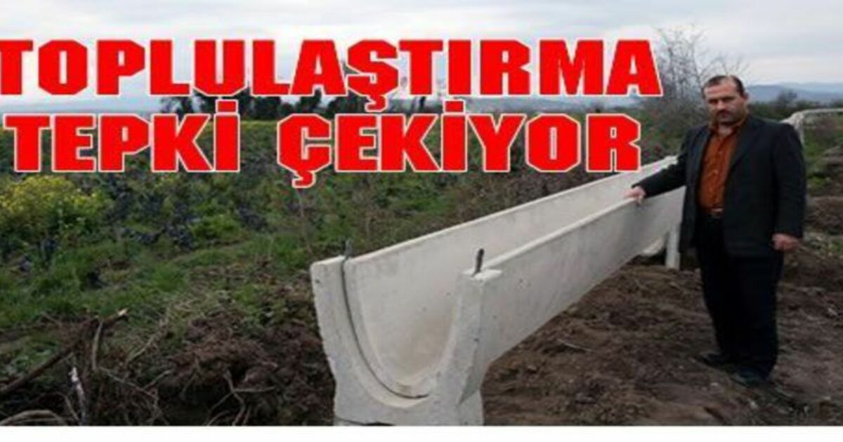 Bafra Ovası`nda Toplulaştırma Çalışması